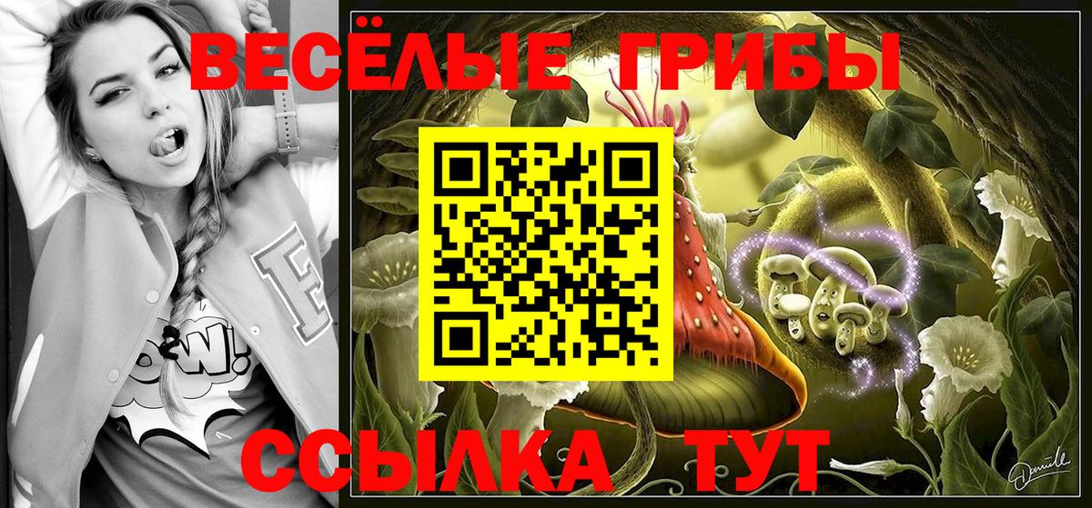 Рязань  Галлюциногенные грибы мухоморы  Вход с VPN 