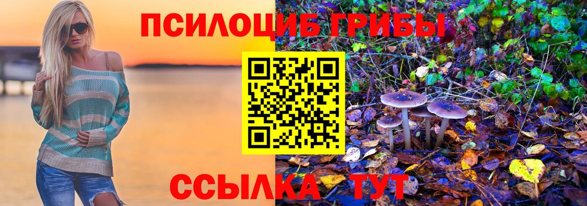Псилоцибиновые грибы ЛСД Рязань